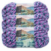 Picture of Lion Brand Yarn Hometown Yarn, Bulky Yarn, Yarn for Knitting and Crocheting, 3-Pack, Jacksonville Taffy