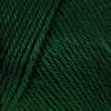 Picture of Caron Simply Soft Dark Sage Yarn - 3 Pack of 170g/6oz - Acrylic - 4 Medium (Worsted) - 315 Yards - Knitting/Crochet