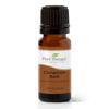 Picture of Plant Therapy Cinnamon Bark Essential Oil 10 mL (1/3 oz) 100% Pure, Undiluted, Therapeutic Grade