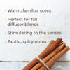 Picture of Plant Therapy Cinnamon Bark Essential Oil 10 mL (1/3 oz) 100% Pure, Undiluted, Therapeutic Grade