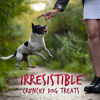 Picture of Fruitables Skinny Mini Dog Treats - Healthy Soft Dog Treats - Training Treats - Pumpkin & Berry Flavor - 5 Ounces