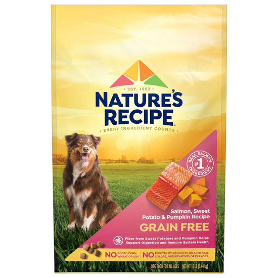 Picture of Nature's Recipe Grain Free Dry Dog Food, Salmon, Sweet Potato & Pumpkin Recipe, 12 Pound Bag, Easy to Digest