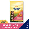 Picture of Nature's Recipe Grain Free Dry Dog Food, Salmon, Sweet Potato & Pumpkin Recipe, 12 Pound Bag, Easy to Digest