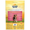 Picture of Nature's Recipe Grain Free Dry Dog Food, Salmon, Sweet Potato & Pumpkin Recipe, 12 Pound Bag, Easy to Digest