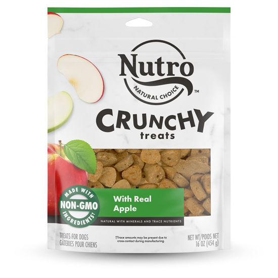 Picture of NUTRO Crunchy Dog Treats with Real Apple, 16 oz. Bag