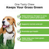 Picture of Pet Honesty Grass Green - Grass Burn Spot Chews for Dogs - Dog Pee Grass Spot Saver Caused by Dog Urine - Dog Urine Neutralizer for Lawn - Cranberry, Apple Cider Vinegar, Dog Rocks - Duck (90 ct)