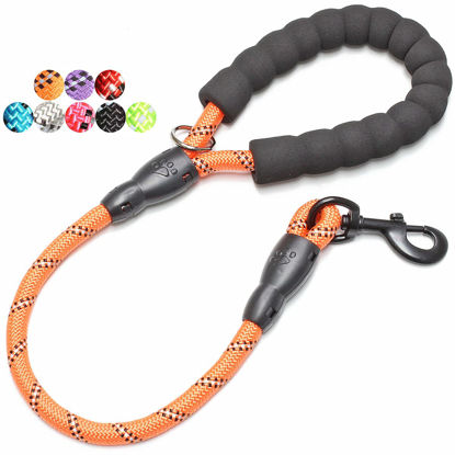 Picture of BAAPET 2/4/5/6 FT Dog Leash with Comfortable Padded Handle and Highly Reflective Threads for Small Medium and Large Dogs (2FT-1/2'', Orange)