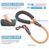 Picture of BAAPET 2/4/5/6 FT Dog Leash with Comfortable Padded Handle and Highly Reflective Threads for Small Medium and Large Dogs (2FT-1/2'', Orange)