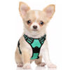 Picture of rabbitgoo Dog Harness, No-Pull Pet Harness with 2 Leash Clips, Adjustable Soft Padded Dog Vest, Reflective No-Choke Pet Oxford Vest with Easy Control Handle for Small Dogs, Turquoise, S