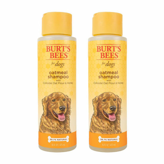 Oat shampoo hot sale for dogs