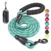 Picture of BAAPET 2/4/5/6 FT Dog Leash with Comfortable Padded Handle and Highly Reflective Threads for Small Medium and Large Dogs (6FT-1/2'', Turquoise)