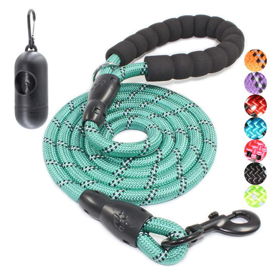 Baapet leash shop