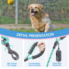 Picture of BAAPET 2/4/5/6 FT Dog Leash with Comfortable Padded Handle and Highly Reflective Threads for Small Medium and Large Dogs (6FT-1/2'', Turquoise)