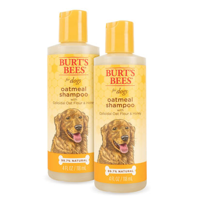 Picture of Burt's Bees for Pets Dogs Natural Oatmeal Shampoo with Colloidal Oat Flour and Honey| Oatmeal Dog Shampoo | Soothing and Cleansing Oatmeal Shampoo for Dogs | 4 Fl oz - 2 Pack