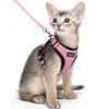 Picture of rabbitgoo Cat Harness and Leash for Walking, Escape Proof Soft Adjustable Vest Harnesses for Cats, Easy Control Breathable Reflective Strips Jacket, Pink, M