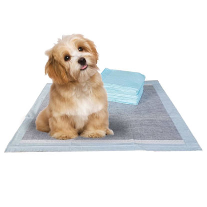 Picture of BV Pet Potty Training Pads for Dogs, Puppy Training Pad Pee Pads, 22" x 22", 100-Count, Charcoal Training Pads for Dogs and Puppies