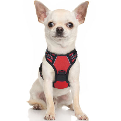 Picture of rabbitgoo Dog Harness, No-Pull Pet Harness with 2 Leash Clips, Adjustable Soft Padded Dog Vest, Reflective No-Choke Pet Oxford Vest with Easy Control Handle for Small Dogs, Red,XS