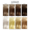 Picture of Adore Semi Permanent Hair Color - Vegan and Cruelty-Free Hair Dye - 4 Fl Oz - 010 Crystal Clear (Pack of 2)