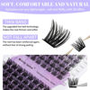 Picture of Lash Clusters Individual Lashes D Curl Cluster Eyelash Extensions Wide-stem Eyelashes Cluster 12-16mm Thin Band Cluster Lashes Soft and Wispy Clusters Matte Black (Grace/Charming-0.07D, 12-16mm Mixed)