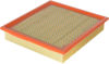 Picture of FRAM Extra Guard Air Filter, CA10262 for Select Ford and Lincoln Vehicles