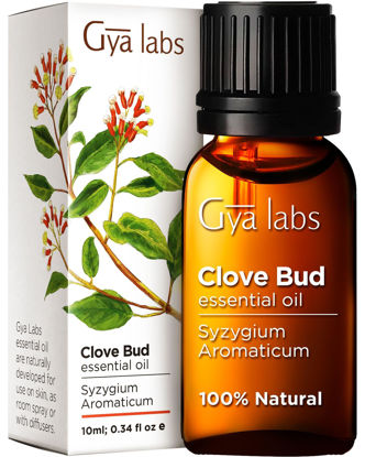 Picture of Gya Labs Clove Oil for Oral Care - 100% Natural Clove Essential Oil for Oral Discomfort - Clove Oil Essential Oil - Clove Oil for Hair, Skin, Teeth, and Gums. (0.34 fl oz)