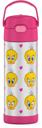 https://www.getuscart.com/images/thumbs/1214511_thermos-funtainer-16-ounce-stainless-steel-vacuum-insulated-bottle-with-wide-spout-lid-looney-tunes_415.jpeg