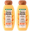 Picture of Garnier Whole Blends Honey Treasures Repairing Shampoo, for Dry, Damaged Hair, 22 Fl Oz, 2 Count (Packaging May Vary)