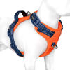 Picture of PHOEPET No Pull Dog Harness, Unique Colors Reflective Adjustable Dog Vest, with Soft Training Handle Metal Clips for Small Medium Large Dogs (Orange Base & Blue Straps,S)