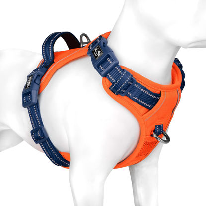 Picture of PHOEPET No Pull Dog Harness, Unique Colors Reflective Adjustable Dog Vest, with Soft Training Handle Metal Clips for Small Medium Large Dogs (Orange Base & Blue Straps,S)