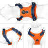 Picture of PHOEPET No Pull Dog Harness, Unique Colors Reflective Adjustable Dog Vest, with Soft Training Handle Metal Clips for Small Medium Large Dogs (Orange Base & Blue Straps,S)