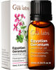Picture of Gya Labs Egyptian Geranium Essential Oil (10ml) - 100% Pure Aromatherapy Therapeutic Grade Geranium Essential Oils for Skin, Hair Growth, Body Massage & Diffuser
