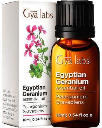 Picture of Gya Labs Egyptian Geranium Essential Oil (10ml) - 100% Pure Aromatherapy Therapeutic Grade Geranium Essential Oils for Skin, Hair Growth, Body Massage & Diffuser