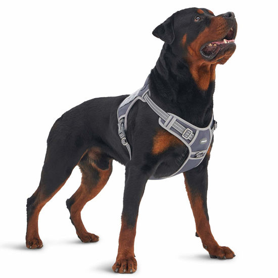 Control harness for large dogs sale