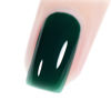 Picture of Vishine 15ml Gel Nail Polish Emerald Green Color Soak Off LED Gel Polish Long-Lasting Nail Art Manicure Salon DIY at Home