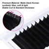 Picture of Eyelash Extension Easy Fan Volume Lashes .03 .05 .07 .10 Thickness FADLASH Rapid Blooming Easy Fan Lash Extensions Volume Lashes Faux Mink Matte Black (0.10-D, 10mm)