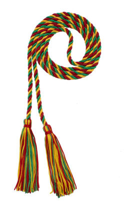 Picture of Graduation Honor Cord - RED/Kelly/Gold - Every School Color Available - Made in USA - by Tassel Depot