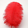 Picture of 24pcs Natural Bright Red Ostrich Feathers 10-12inch (25-30cm) for Wedding Party Centerpieces，Flower Arrangement and Home Decoration.