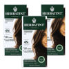 Picture of Herbatint Permanent Haircolor Gel, 4N Chestnut, Alcohol Free, Vegan, 100% Grey Coverage - 4.56 oz (3 Pack)