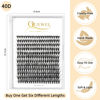 Picture of QUEWEL Cluster Lashes 240Pcs Individual Lashes 40D 0.07D Curl Mix8-14mm Lash Extensions Clusters Lashes Soft&Natural False Eyelashes Individual DIY Eyelash Extension at Home(40D 0.07D MIX8-14)