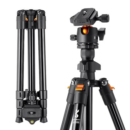 Picture of K&F Concept 64 inch/163cm Camera Tripod,Lightweight Aluminum Travel Outdoor Tripods with 360 Degree Ball Head Load Capacity 8kg/17.6lbs,Quick Release Plate, for DSLR Cameras K234A0+BH-28L