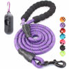 Picture of BAAPET 2/4/5/6 FT Dog Leash with Comfortable Padded Handle and Highly Reflective Threads for Small Medium and Large Dogs (6FT-1/2'', Purple)