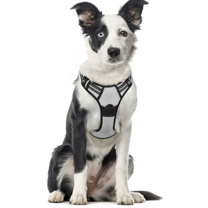 Picture of rabbitgoo Dog Harness, No-Pull Pet Harness with 2 Leash Clips, Adjustable Soft Padded Dog Vest, Reflective No-Choke Pet Oxford Vest with Easy Control Handle for Large Dogs, Grey, XL