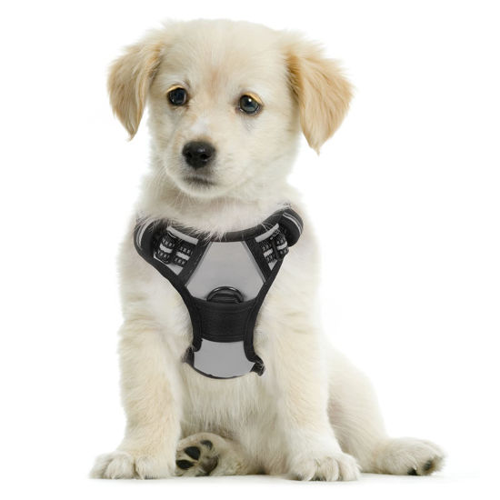 rabbitgoo Dog Harness, No-Pull Pet Harness with 2 Leash Clips, Adjustable  Soft Padded Dog Vest, Reflective No-Choke Pet Oxford Vest with Easy Control