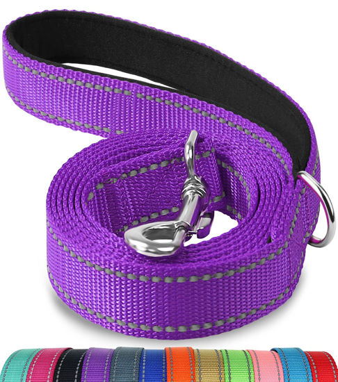 Picture of Joytale Double-Sided Reflective Dog Leash, 6 FT/5 FT/4 FT, Padded Handle Nylon Dogs Leashes for Small & Medium Dogs Walking, Purple, 4FT