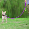 Picture of Joytale Double-Sided Reflective Dog Leash, 6 FT/5 FT/4 FT, Padded Handle Nylon Dogs Leashes for Small & Medium Dogs Walking, Purple, 4FT