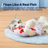 Picture of Potaroma Floppy Fish Cat Toy, Interactive Self-Moving Flopping Fish Toy for Cats, Catnip & Silvervine Enrichment, Kitten Kicker Exercise Toys for Indoor or Outdoor, Koi