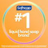 Picture of Softsoap Antibacterial Liquid Hand Soap, Gentle Clean, Sparkling Pear Scent Hand Soap, 11.25 Ounce, 6 Pack