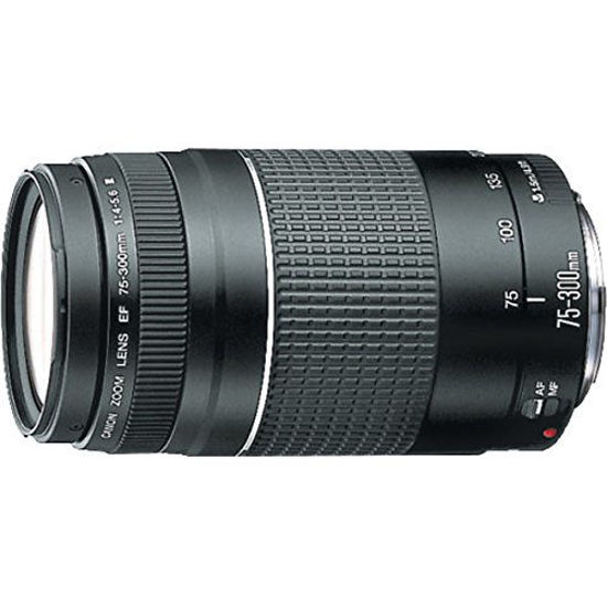 Picture of Canon EF 75-300mm f/4-5.6 III Telephoto Zoom Lens for Canon SLR Cameras