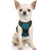 Picture of rabbitgoo Dog Harness, No-Pull Pet Harness with 2 Leash Clips, Adjustable Soft Padded Dog Vest, Reflective No-Choke Pet Oxford Vest with Easy Control Handle for Small Dogs, Blue Coral, XS