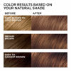 Picture of L'Oreal Paris Feria Multi-Faceted Shimmering Permanent Hair Color, 51 Brazilian Brown (Bronzed Brown), Pack of 1, Hair Dye